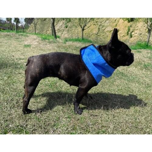 Pet Cold Scarf Triangle Scarf To Cool Down The Dog Law Fighting Breathable Cold Towel Pva To Cool Down The Heat