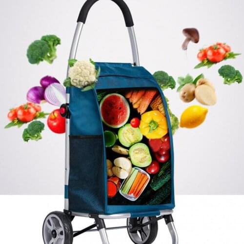 Aluminum Alloy Folding Shopping Grocery Trolley Small Pull Cart Trailer Portable Household Trolley For The Elderly