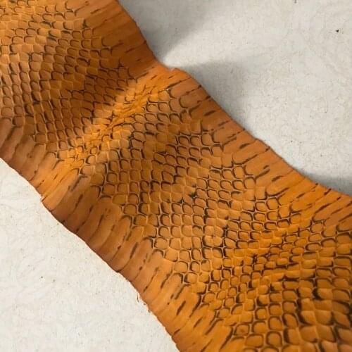 WS017 Black and Yellow Snake Skin