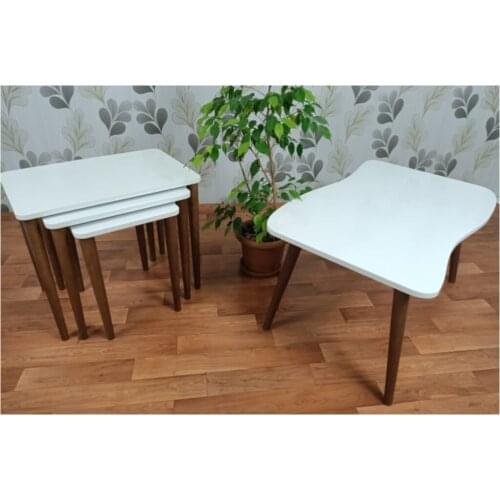 Modern Canisa ''via Series ''Lacquer Paint-3'lü Zigon And Medium Coffee table Pad coffe table