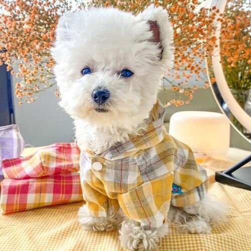 Pet Cat Summer Dog Costume Pet Clothes Vest Wholesale Dog Clothes Summer Refreshing New Plaid Blouse Shirt For Small Dog