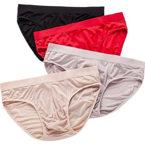 Birdsky Mens Silk Briefs