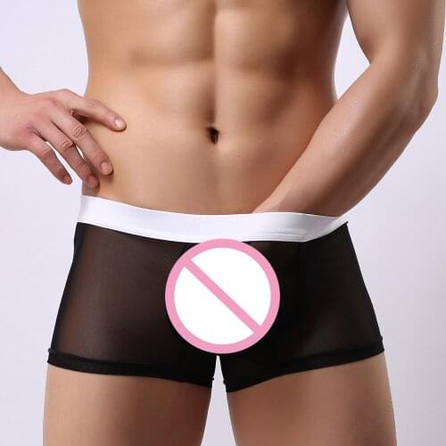 Sexy Mens Panties Underwear Male Cool Mesh Big Bulge Pouch Boxer Shorts Underwear Gay Men Breathable Underpants Dropshipping