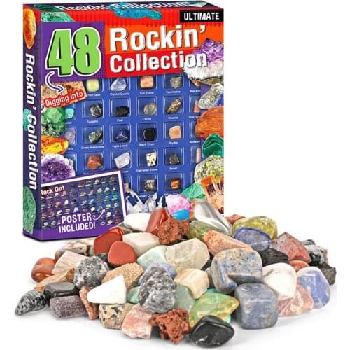 48pcs/Set Raw Minerals Crystals Specimen And Stones Fossils Specimen Polished Gemstones Animal Shell For Education Home Decors