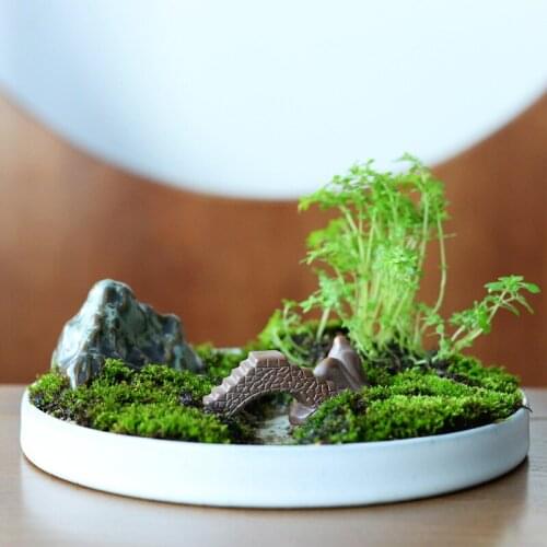Diy Landscape Bridge Of Aquarium Rockery Stone Bridge Micro Landscape Ornaments Bonsai Decoration Gardening Accessories