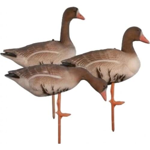 Товары для спорта и отдыха Birdland China At AliExpress