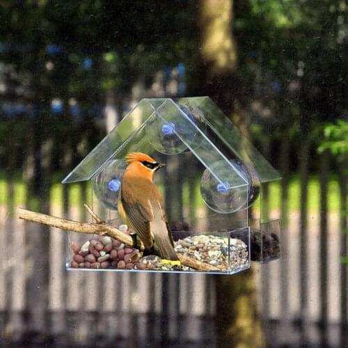 Clear Glass Bird Feeder Window Viewing Bird Feeder Hotel Table Peanut Hanging Suction Alimentador Adsorption Pet Feeder