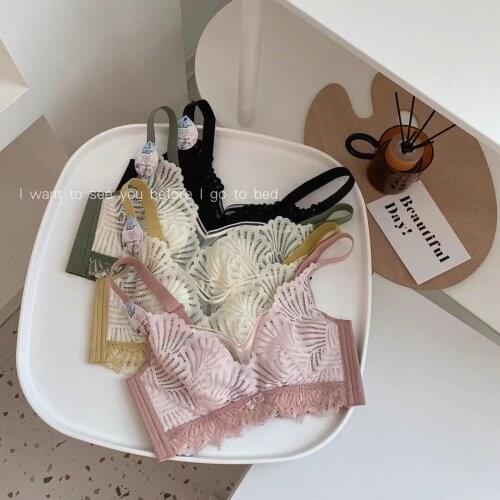 Ultrathin Bra Panties Sets Transparent Brassiere Sexy Underwear Plus Size BC Cup Embroidery Women Lingerie Set Push Up Intimates