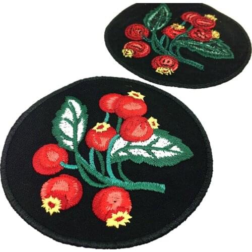 2pc Berry Embroidered Patch Fruit Applique Patches For Clothing Embroidery Appliques Parches Parche Motif Sew On 8cm AC1280