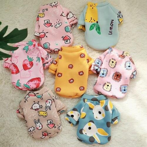 Cute Dog Colthes for Small Dog Hoodie Coat Winter Warm Clothes for Chihuahua Shih Tzu Sweatshirt Puppy Cat Pullover