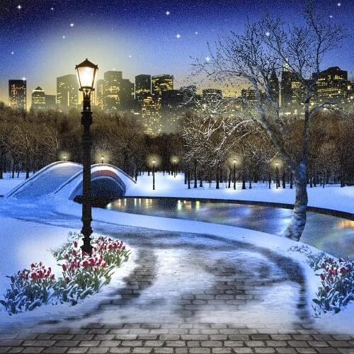 Winter City Park Partially Iced Walkway snow river Bridge tree background Computer print wall backdrops