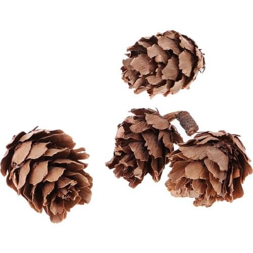 90x Natural Decorative Pine Cones Pinecone for Florists Crafts Decoration