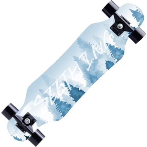 LZHZXY Skateboards For Beginners