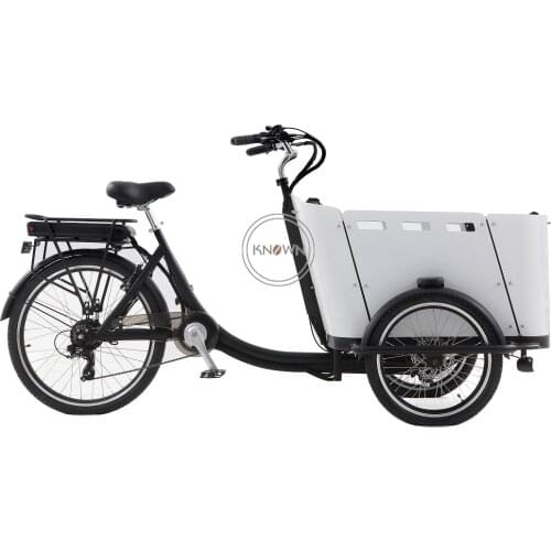 Motorized electric 3 wheel electric family cargo trike bike frame with free shipping by sea