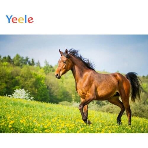 Yeele Vinyl Horse Grassland Nature Scene Children Birthday Party Photography Background Baby Photographic Backdrop Photo Studio