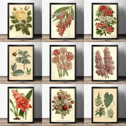 Popular science decorative painting early education - Plant and flower specimen -Atlas art painting Retro poster kraft paper
