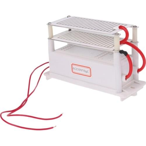 AC220V 10G Portable Ozone Generator Double Ceramic Plate Air Ozonizer