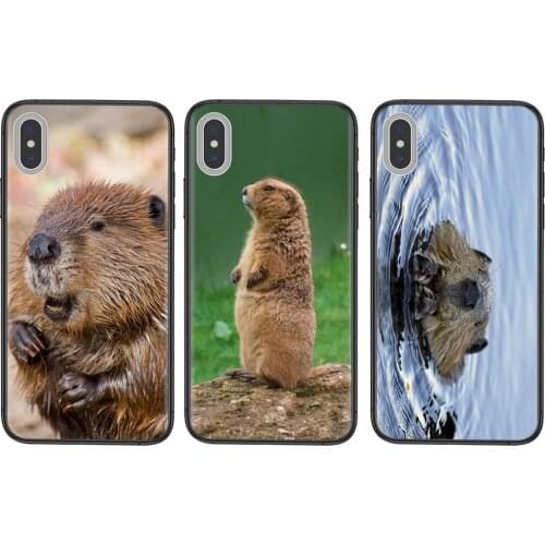 Accessories Pouches Cover Bags Beaver Zoo Around The World Pattern Light For Xiaomi Mi11 M10 Mi10I Mi10S Mi10T Mi9 CC9 Note10