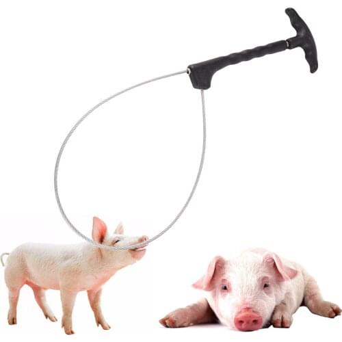 1 Pcs Pig Baoding Set Pig Fixed Rope Wire Ropes Sleeve Stockbreeding Tool Domestic Animal Mouth Set Veterinary Equipment