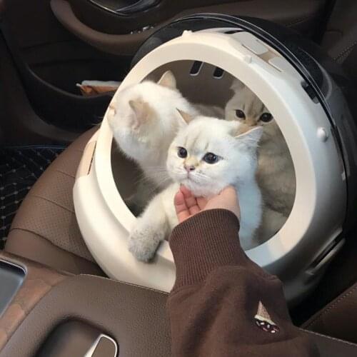 Pet Airways Box Capsule The Cat Go Hand In Hand Shopping Basket Pack Removable Large Mobile Cat Litter Transparent Rabbit Bag