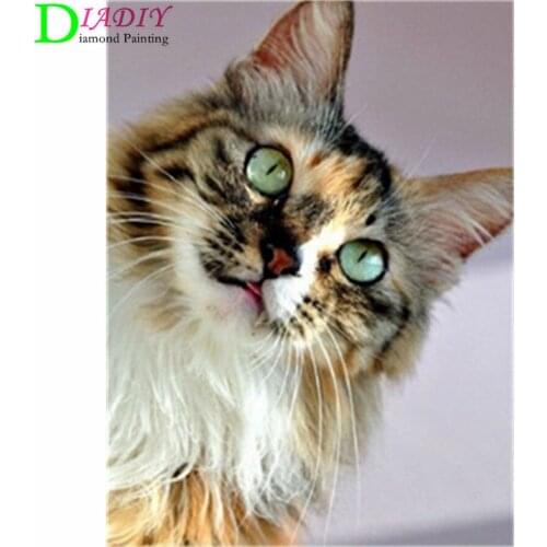NEW Full Square Diamond Painting Cat 5D Diy Diamond Embroidery Animal Mosaic Picture Of Rhinestone Home Decoration Girl Hobby