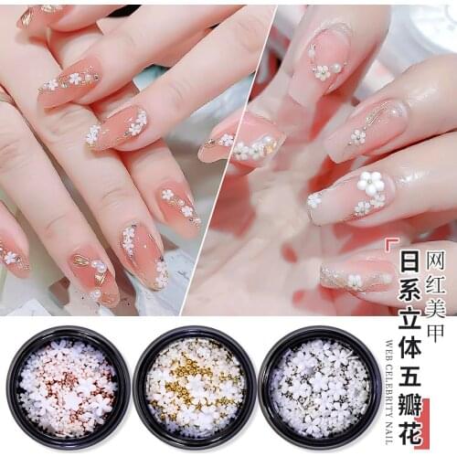 1 Jar 3mm/6mm 3D Mix White Nail Art Flowers 5 Petal Resin Flower with Steel Beads Nail Art Decoration Nail Acrylic Flower RF1101