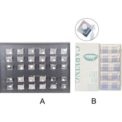 2Sets(A+B) Dental Composite Porcelain Veneer & Resin Light Cure Anterior Teeth Model Fast Quick