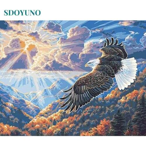 SDOYUNO 60x75cm Painting by numbers Eagle flying DIY Drawing By Numbers Frameless Home Decor Digital Painting On Canvas