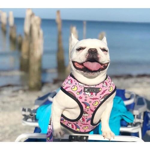 Pet Harness for French Bulldog Small Medium Dogs Leashes Pug Puppy Frenchie Harness Vest Walking Dog Lead Leash Pet Accessories