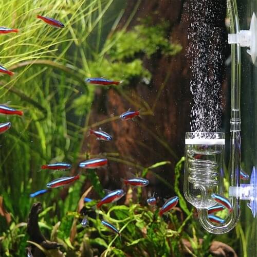 Glass Fish Tank Aquarium Ceramic Disccapacitor Water Live Plant CO2 Diffuser Tank Atomizer CO2 Atomizers for 60 Wholesales