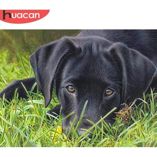 HUACAN 5d DIY Diamond Painting Dog Full Drill Square Handicraft Diamond Embroidery Animal Cross Stitch Mosaic Handmade Gift