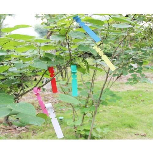 100pcs PVC Nursery Premium Label Plastic Plant Type Label Garden Plant Pot Planter Vegetable Label Tag