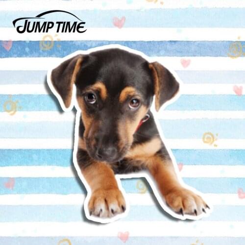 Jump Time 13cm x 12cm Cute Puppy Looking Down Pet Decal Funny Car Styling Bumper Window Laptop Fridge Decor Animal Car Stickers