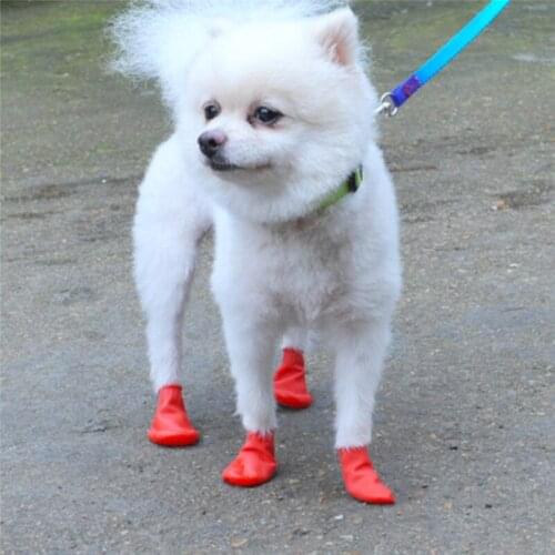 KEFIRDAY Shoes For Dogs