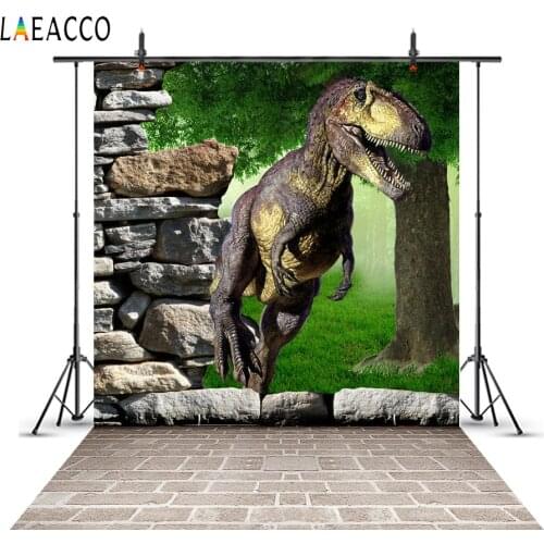 Laeacco 3D Dinosaur Scenery Party Baby Children Portrait Photography Backgrounds Custom Photographic Backdrops For Studio Photo