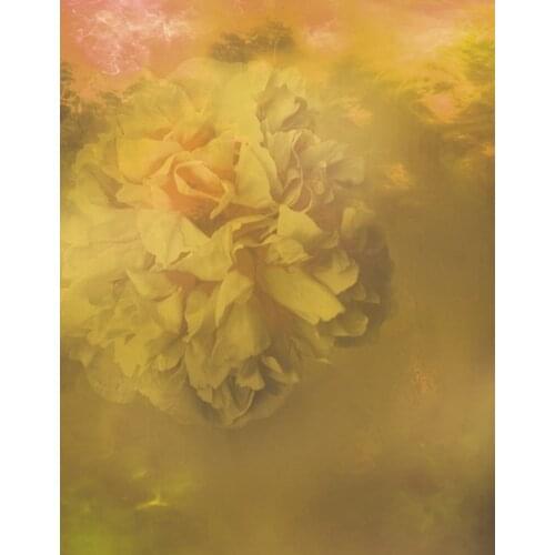 5x7ft Yellow Flowers Painting Photography Backdrops Photo Props Studio Background