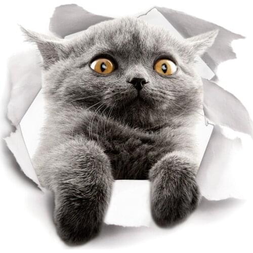 3d vivid hole cat wall stickers wall decals refrigerator toilet door Computer wall decals decoration animals mural art poster