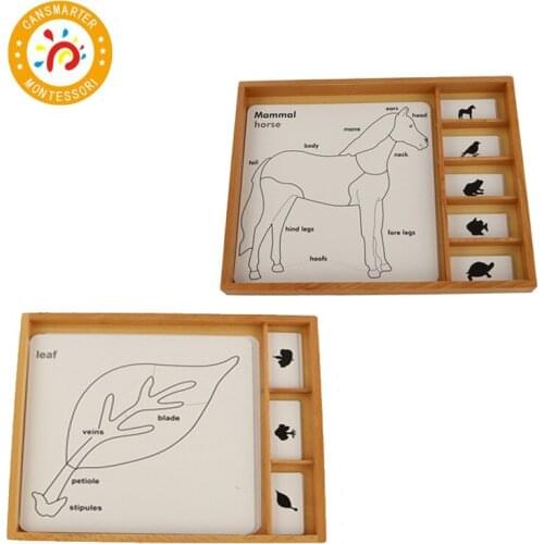 Baby Toy Montessori Material Wooden Toy Botany and Animal Puzzle Activity Set Biology Early Education
