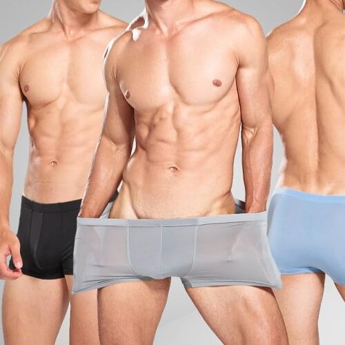 2021 Summer Ice Silk Men Underwear Seamless Transparent Boxer Shorts Ultra Thin Sheer Breathable Comfortable Panties Underpants