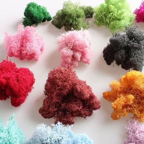 New Natural Norwegian Reindeer Moss Preserved Dried Craft Flower Stamen Decoration Wedding Ornament Fairy Garden Decor