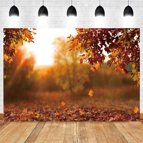 Autumn Natural Scenery Forest Tree Fallen Leaves Wedding Photography Backdrop Photographic Background Vinyl Photo Studio Props