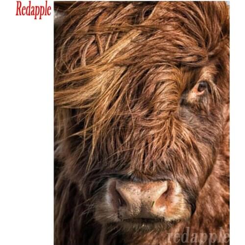 Diamond embroidery stich cross Highland Cow pattern Shaggy Yak Cow diamond painting full drilll rhinestones Animal hobby decor