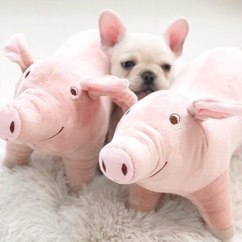 Pet Molar Bite-resistant Plush Toys Dog Sleeping Pig Dolls Dog Vent Toys Male Dog Teddy Bichon Puppies Pet Supplies