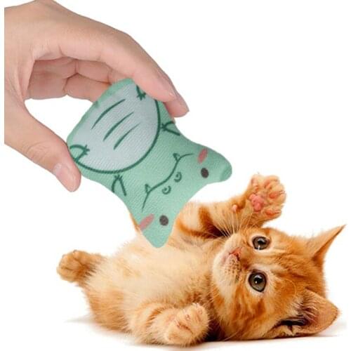 Rustle Sound Catnip Toy Cats Products For Pets Cute Cat Toys For Kitten Teeth Grinding Cat Plush Thumb Pillow Pet Accessories