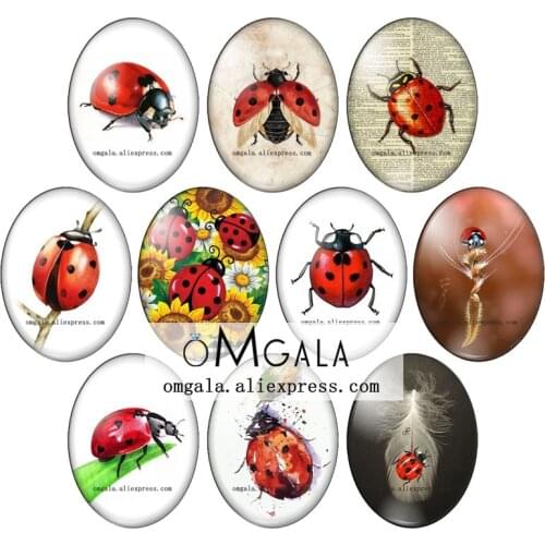 Art Paintings Ladybugs Insect Patterns 13x18mm/18x25mm/30x40mm Oval photo glass cabochon flat back Making findings