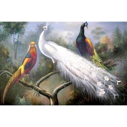 Peacock wildlife ANIMAL BIRD Oil painting 24"X36" Guaranteed 100