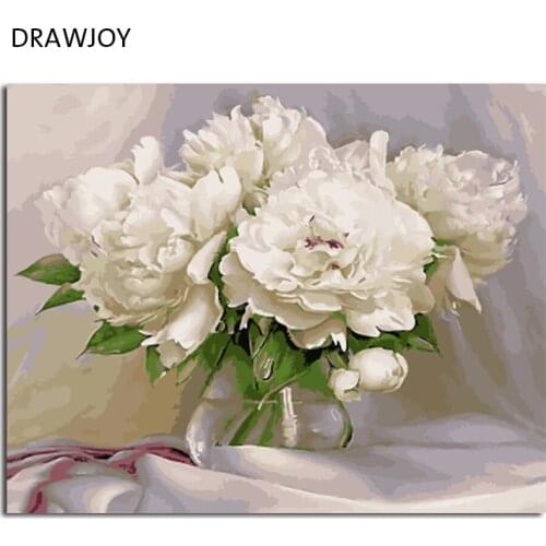 Modern Flower Framless Picture DIY Acrylic Oil Painting By Numbers Wall Art DIY Canvas Oil Painting Home Decor 40*50cm GX4870