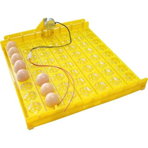New Incubator 56 Eggs 110V / 220V Automatic Egg Incubator Chicken Duck Poultry Incubation Equipment 2016 Free Shipping