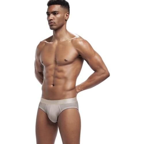 Modal Sexy Underwear Briefs Brand Mens Underpants Soft Quick Dry Men Briefs Simple Solid Panties Gay Man Slip Bikini Homme