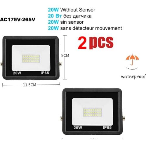 2 pcs 220V 10-100W LED FloodLight Spotlight Exterior Street wall reflector led lighting LED garden Lightler Color Adjustable Mot